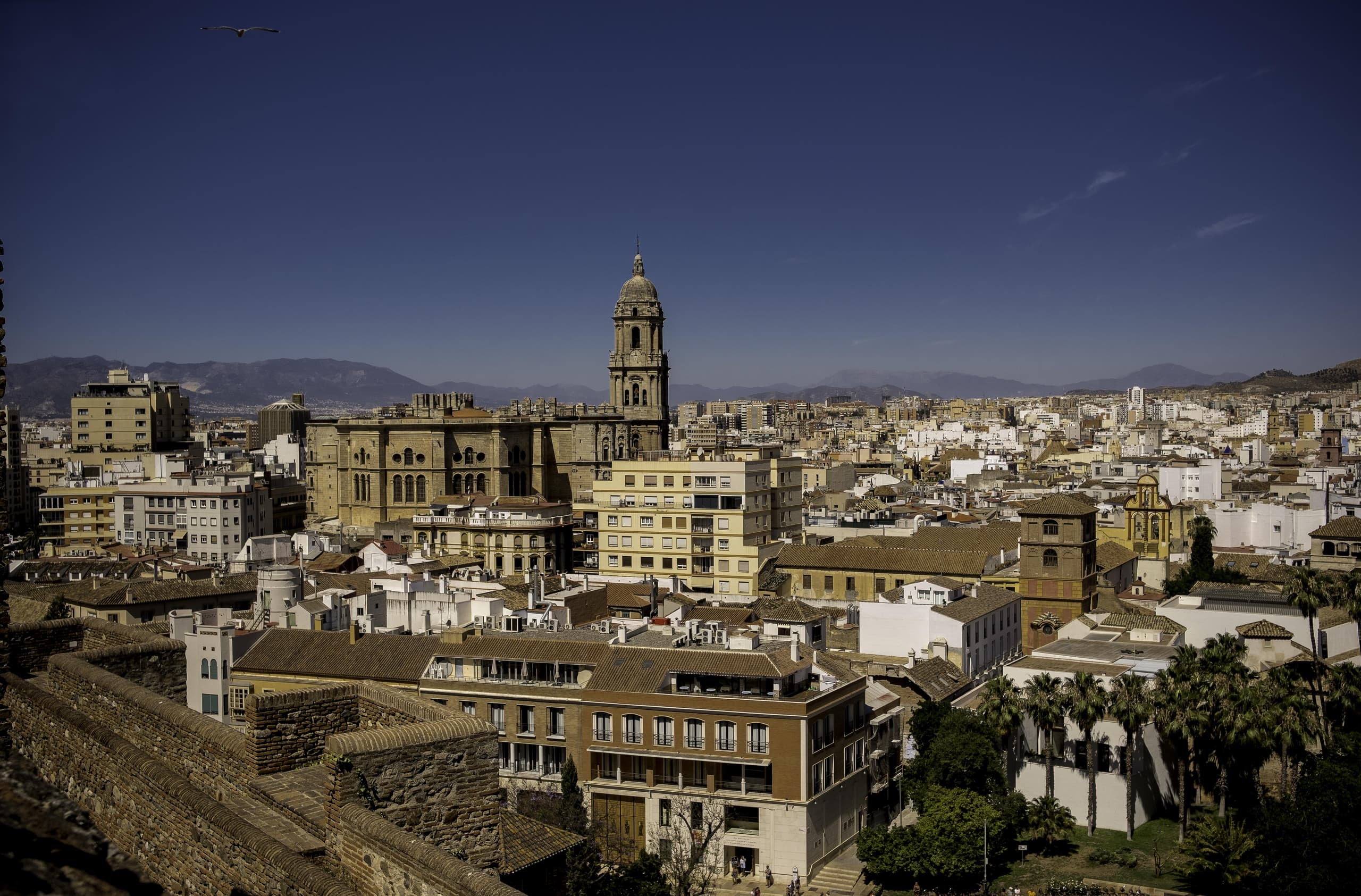 Visita guiada por centro histórico y Catedral