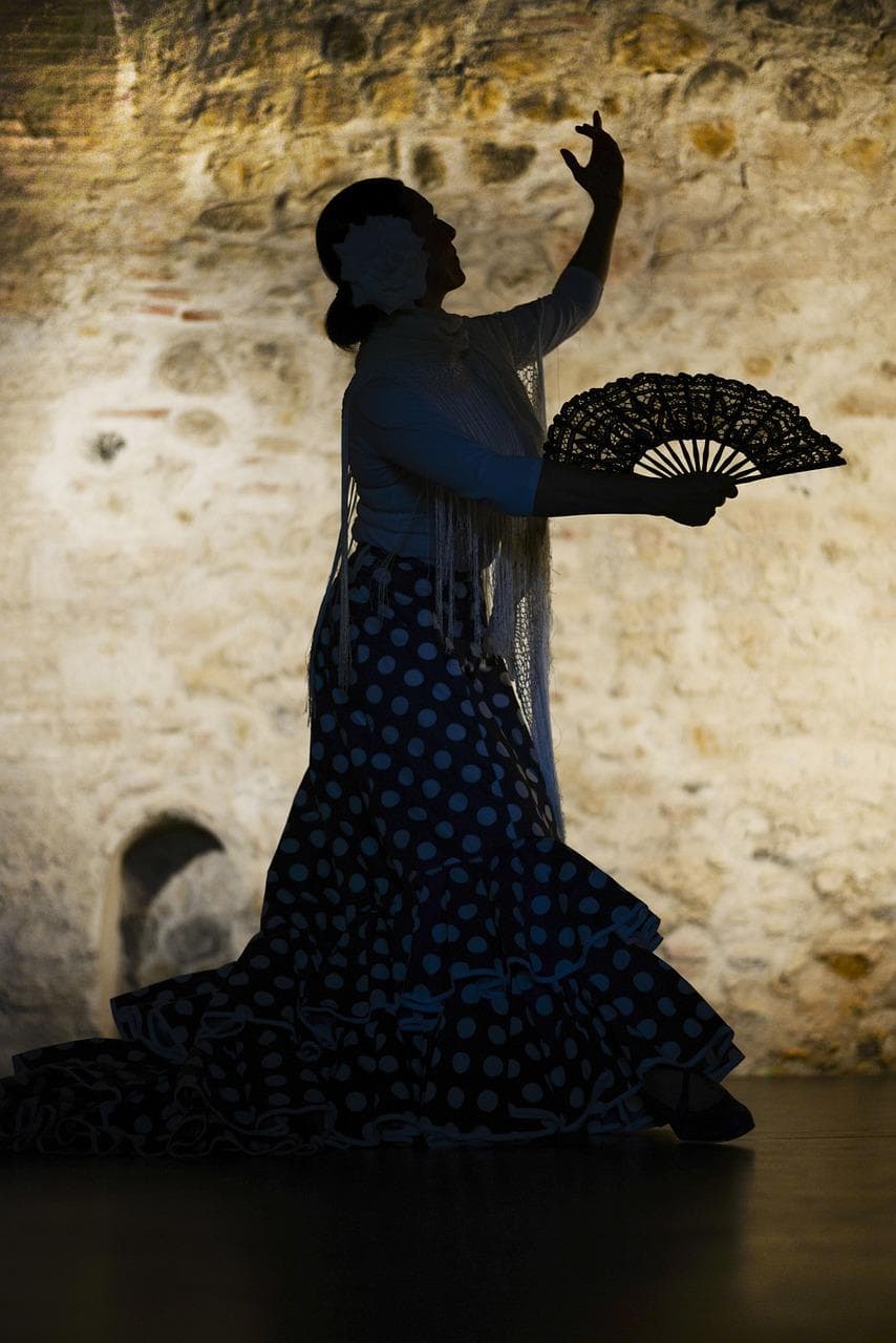 Show Flamenco en Córdoba