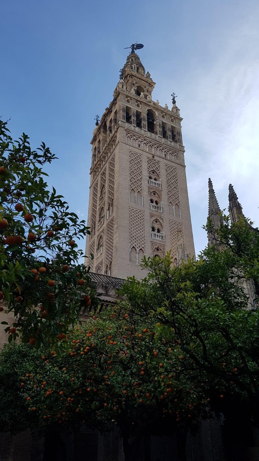 Catedral de Sevilla  y Giralda