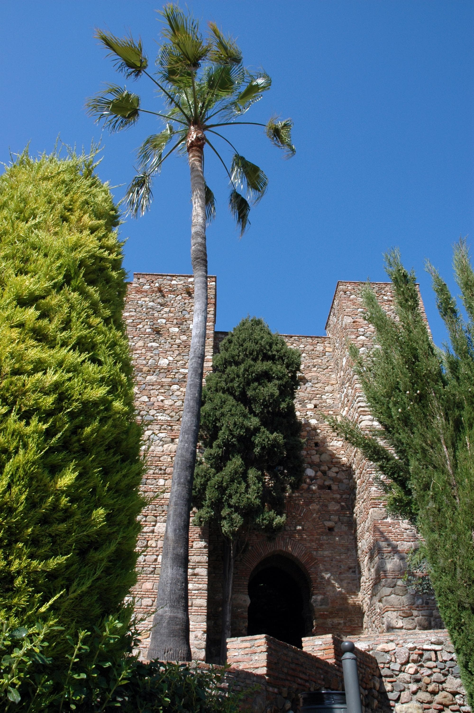 Free tour of Malaga